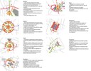 Paris va installer trois maîtrises d'oeuvre pour les grands projets de transports et d'espaces publics de la mandature