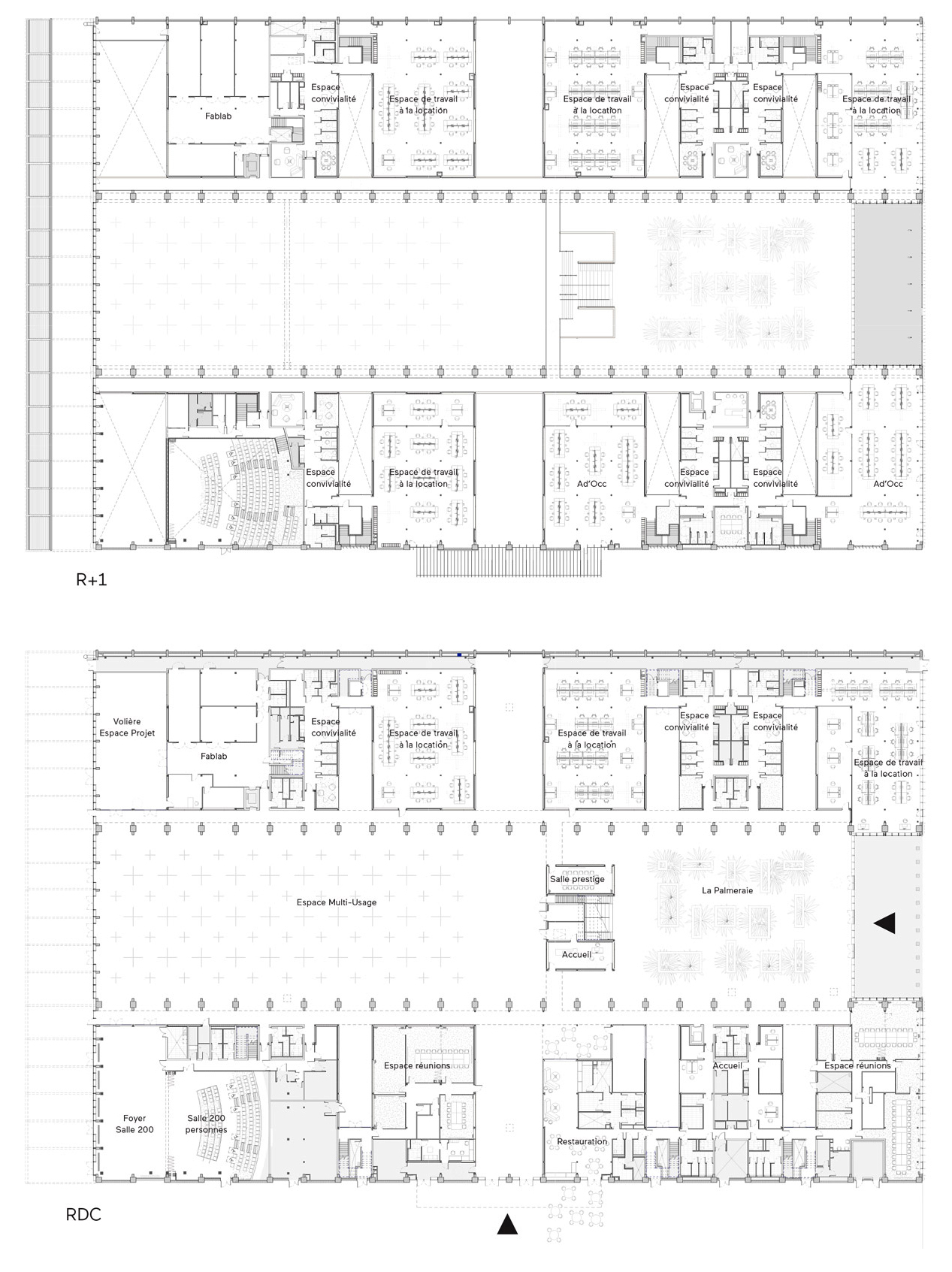 Halles Latécoère coupe programmatique R+1 et RDC