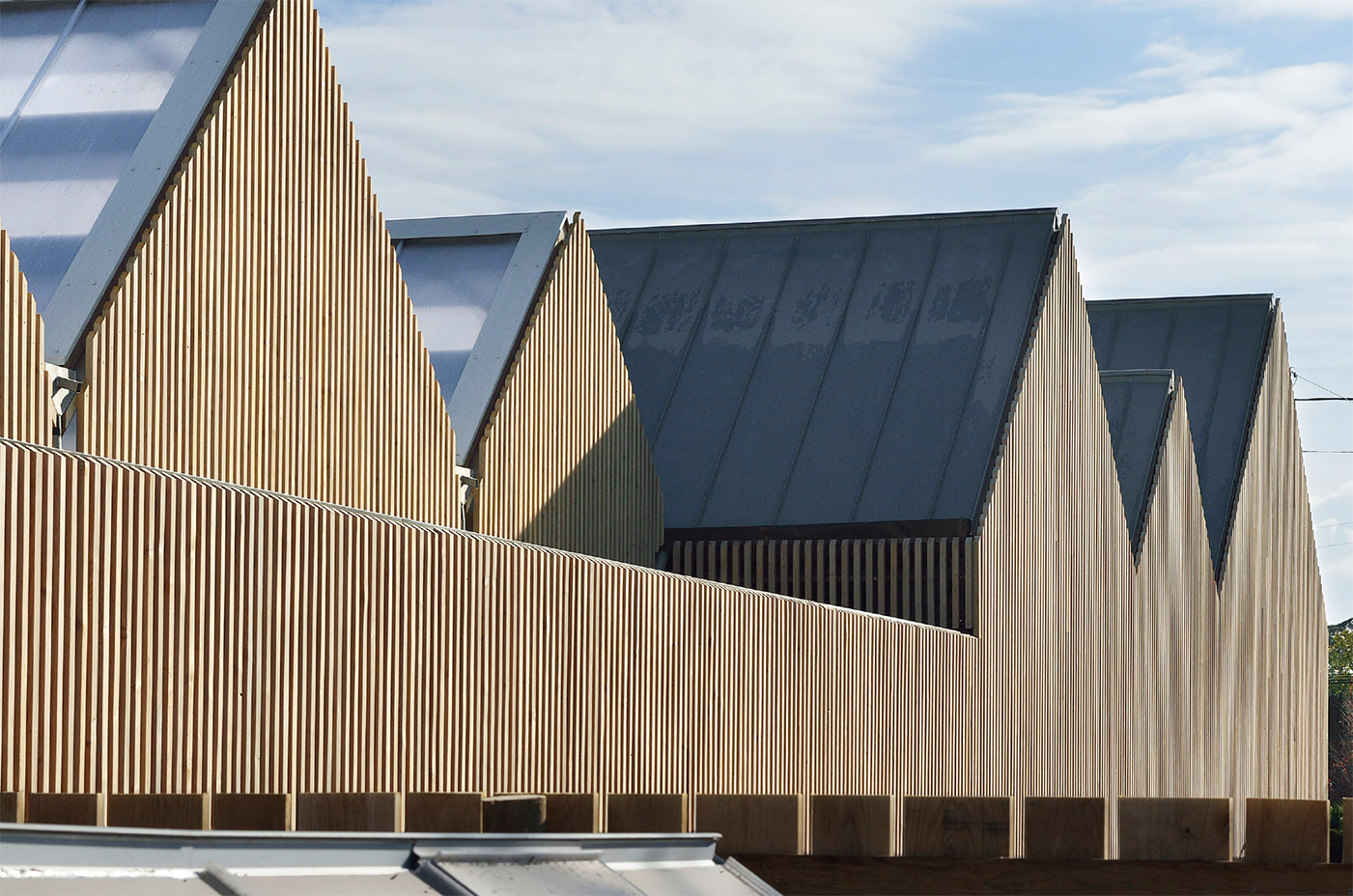 Trophées Bois Idf 2019_ÉCOLE MATERNELLE LA RUCHE_PERTHES-EN-GÂTINAIS_2