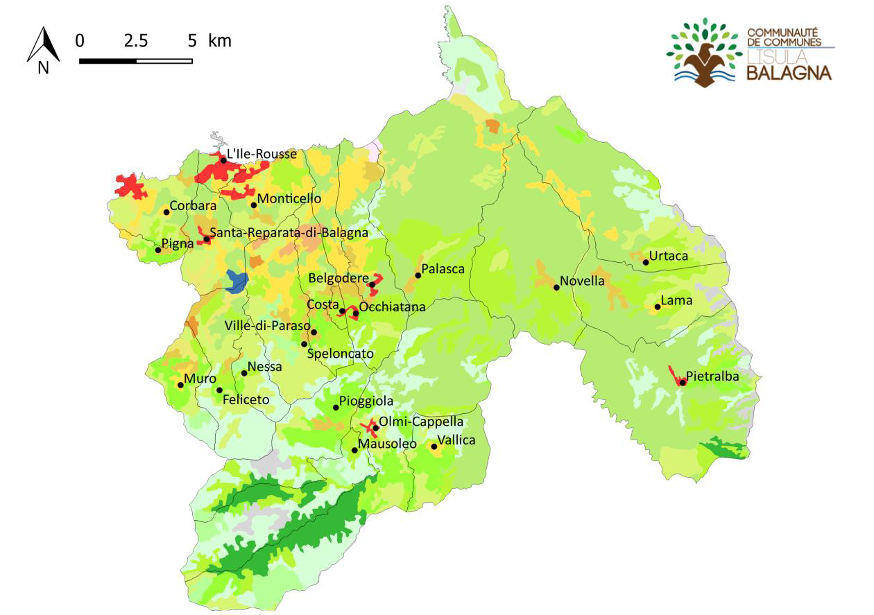 com com ile rousse.png