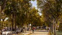 Jardin des Champs Élysées contre allée après ©PCA-STREAM.jpg