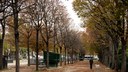 Jardin des Champs Élysées contre allée avant ©Salem Mostefaoui.jpg