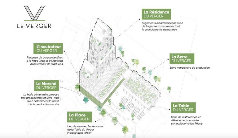 Marseille_V_Regny_Verger_elevation_ilot_Verger.jpg