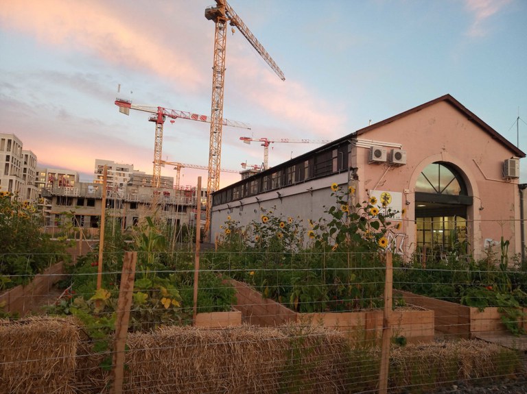 gerland halle industrielle.jpg