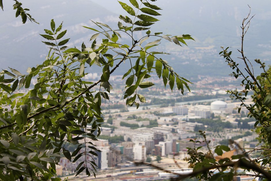 Grenoble_Cuvette_polluee.jpg