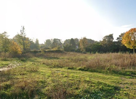 Amiens_Etouvie_ilot_sud_etat_nature.jpg