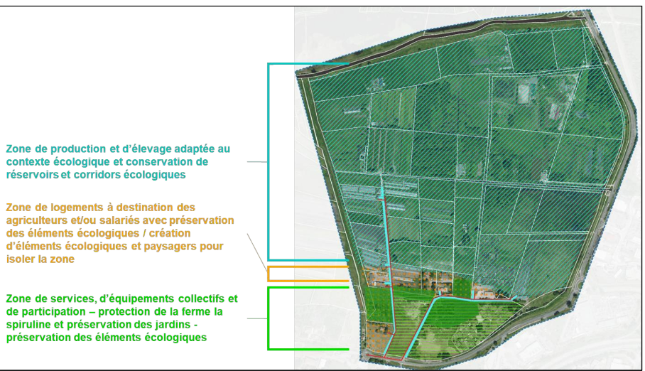 zone agricole.png