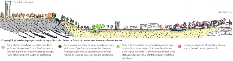 Clermont NPNRU Saint-Jacques Plateau et végétalisation.jpg