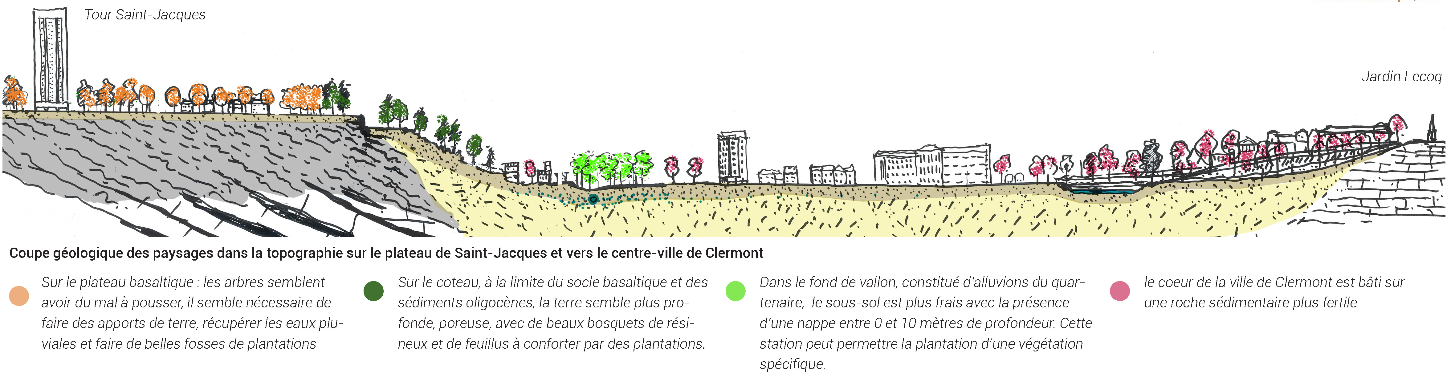 Clermont NPNRU Saint-Jacques Plateau et végétalisation.jpg