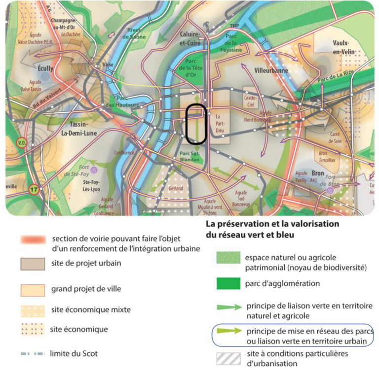 Lyon requalification Garibaldi liaisons vertes parcs urbains.png