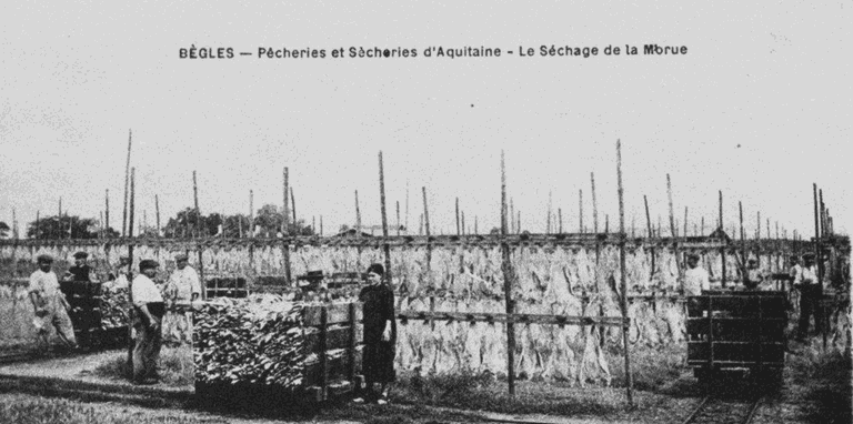 Bègles_sècheries carte postale ancienne.png