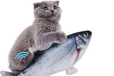 Jouet poisson pour chat