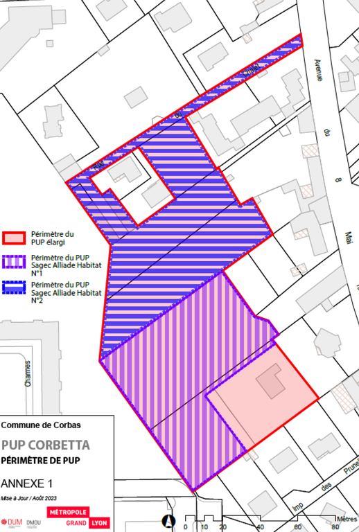 Corbas_projet Corbetta périmètre du PUP.png