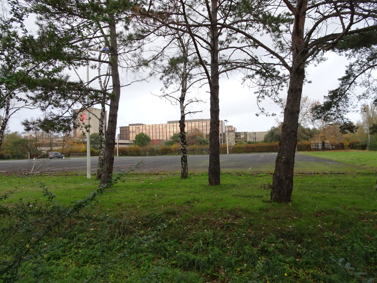 Bordeaux_Jallere_site_CDC_et_arbres.jpg