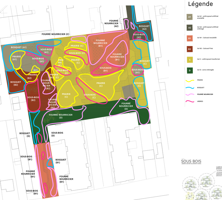 Noisy-le-Grand_foret urbaine_Coteaux_stratégie de plantation.png