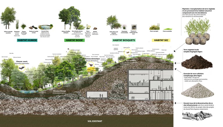 240304_Hill and habitats section©DR.jpg