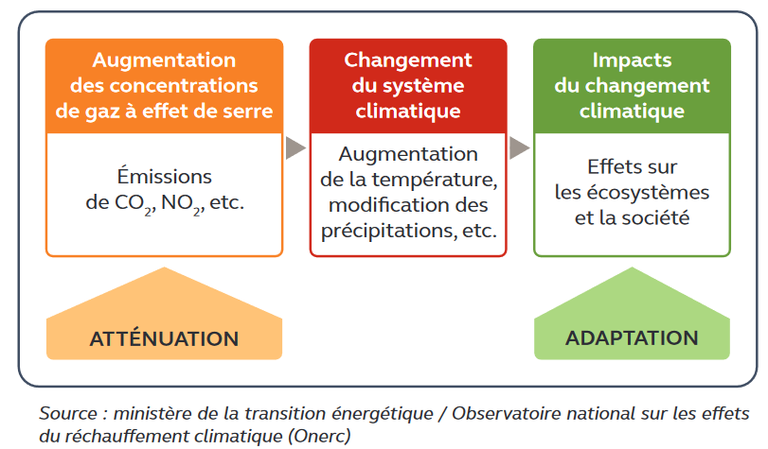 Cour des comptes_atténuation & adaptation.png