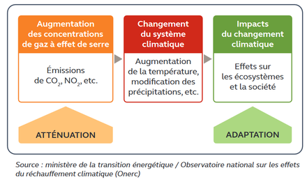 Cour des comptes_atténuation & adaptation.png