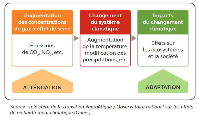 Cour des comptes_atténuation & adaptation.png