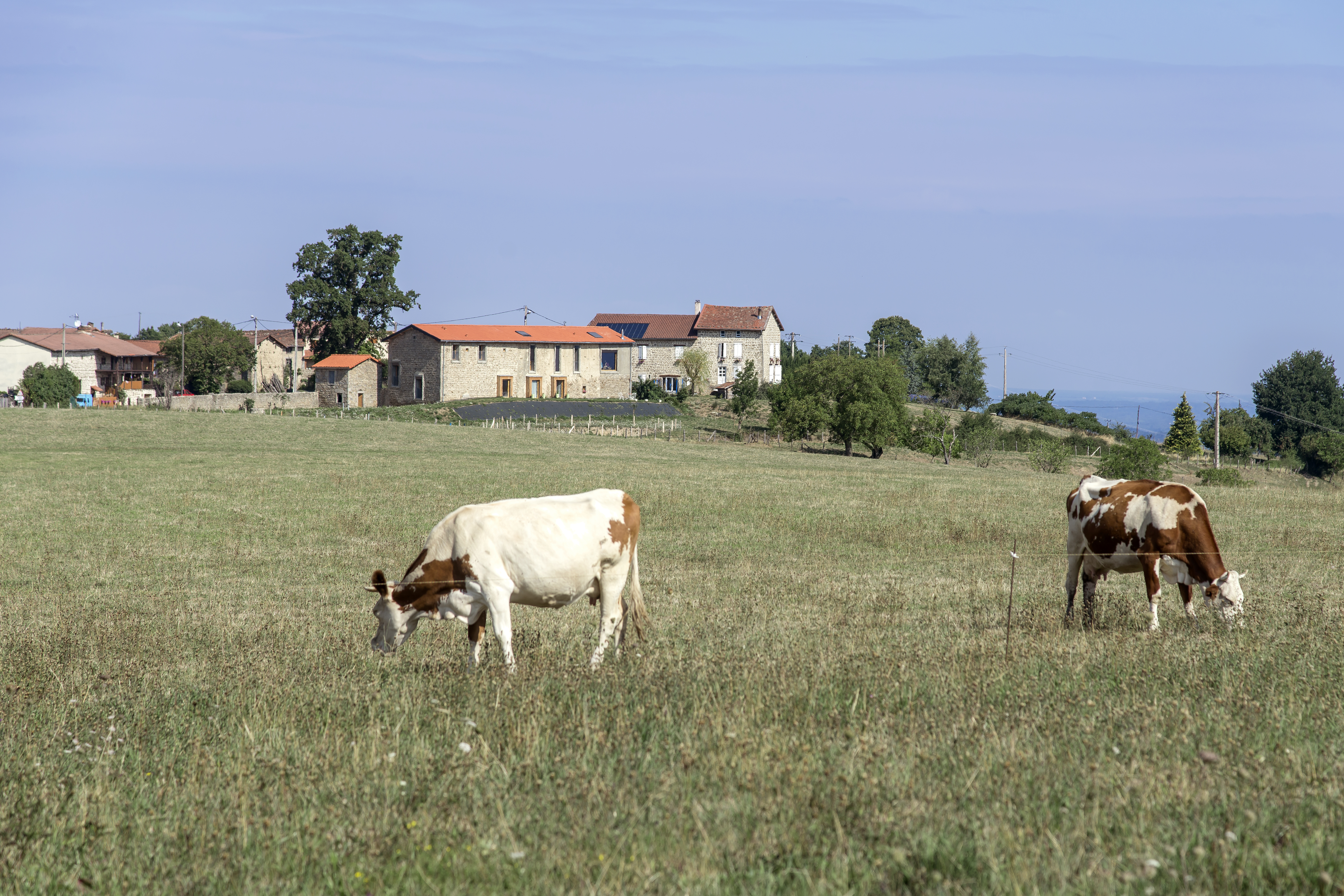 Logts Ferme Boris Bouchet 1- crédits Benoît Alazard.jpg