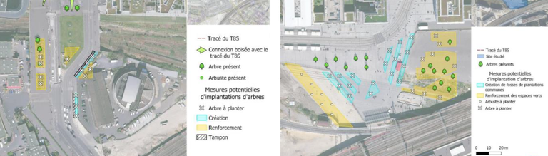 Paris - Tramway T8 - Arbres compensés.png